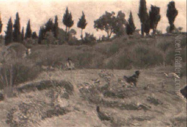 Paesaggio - view 1