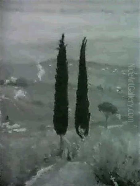 Contro Luce - view 1