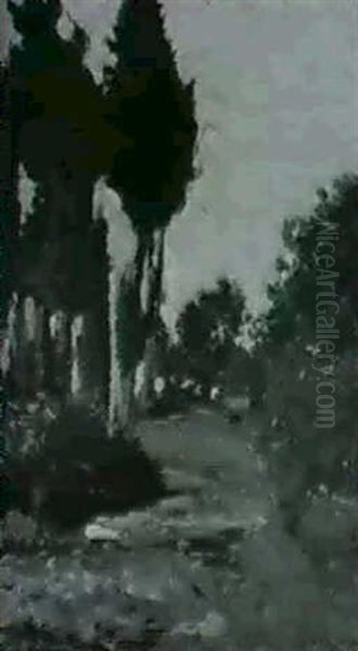 Cipressi - view 1