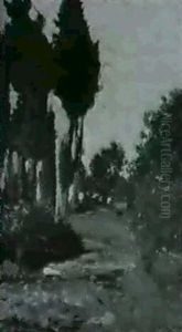 Cipressi by Ruggero Focardi