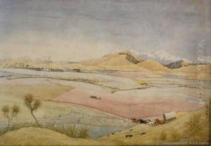 Birchwood Station, Takitimu Mountains, Southland