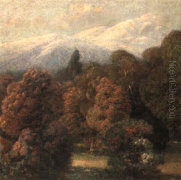 Trionfo Di Primavera - view 1