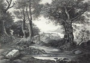 View Of The Heidelberg Castle by Daniel Fohr