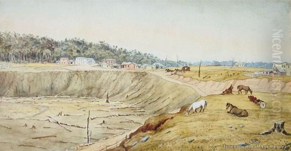 Eketahuna - view 1