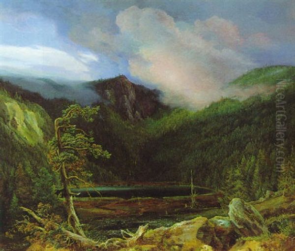 Landschaftsmotiv (plockensteinersee?) - view 1