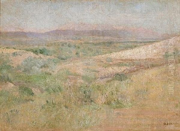 Landscape - view 1
