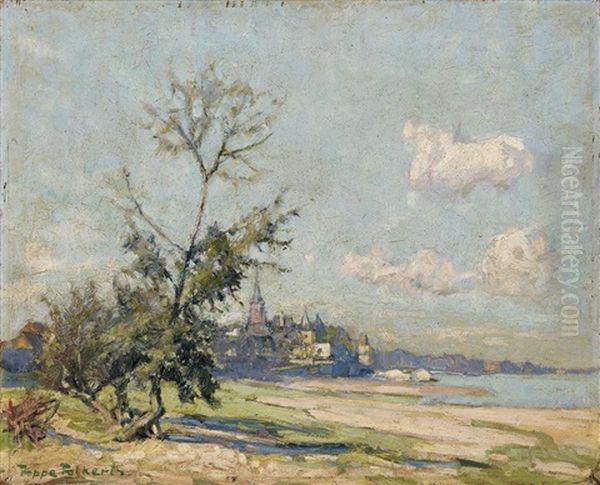 In Den Rheinauen Bei Rodenkirchen - view 1