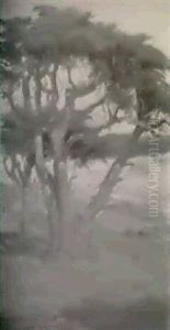 Monterey Cypress by Harry Stuart Fonda