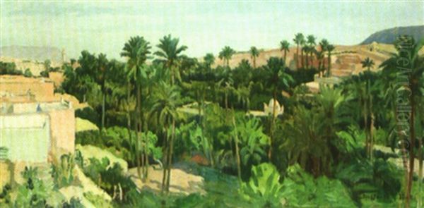Oasis Du Sud - view 1
