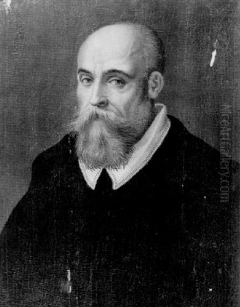 Portrait Of A Bearded Man Wearing A Black Jacket With A White Collar - view 1