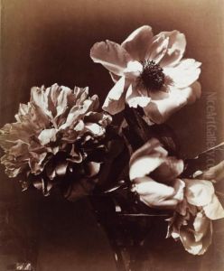 Anemones
