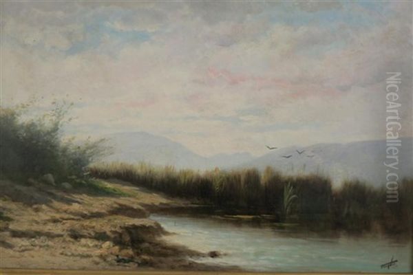 Paysage A L'etang - view 1