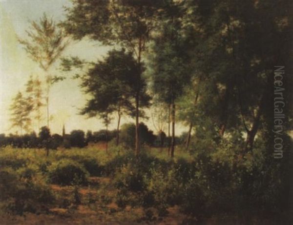 Lichte Waldlandschaft Mir Kirchlein Im Hintergrund - view 1