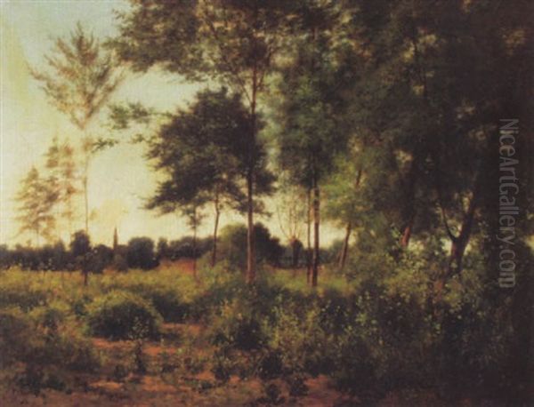Lichte Waldlandschaft Mit Kirchlein Im Hintergrund - view 1