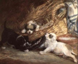 Hurrah For The Bonnets Of Blue: Portrait Of Three Puppies Hurrah For The Bonnets Of Blue: Portrait Of Three Puppies