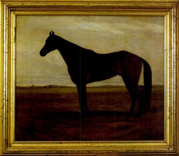 A Study Of A Horse - view 1