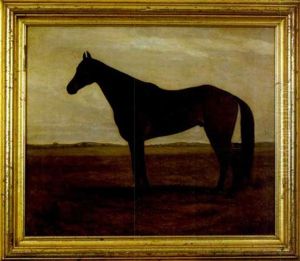 A Study Of A Horse by Edwin C. Forbes