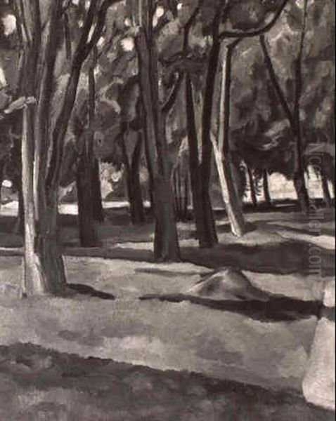 Trees - view 1
