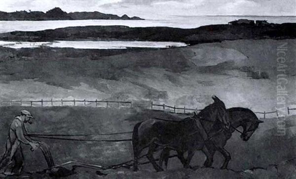 Plowing The Field - view 1