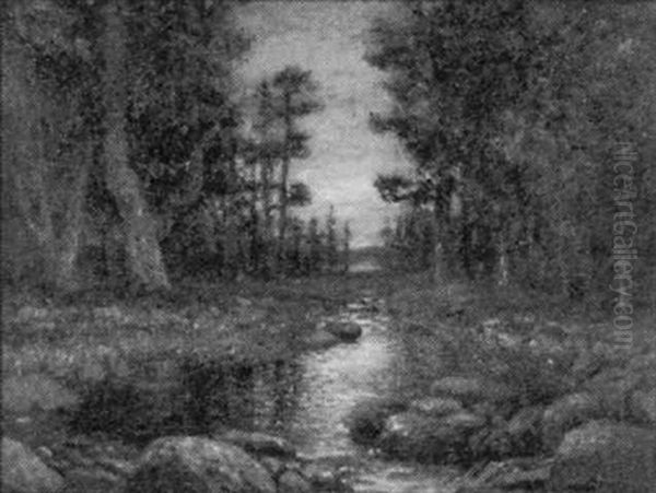 Untitled (forest Stream And Sunset) - view 1