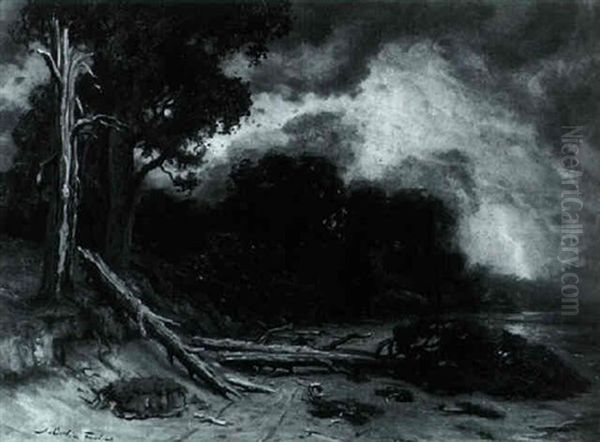 Wooded Shoreline - view 1