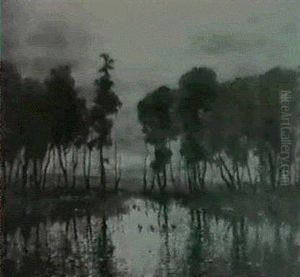 Ducks In A Marshland At Sunset by John Colin Forbes