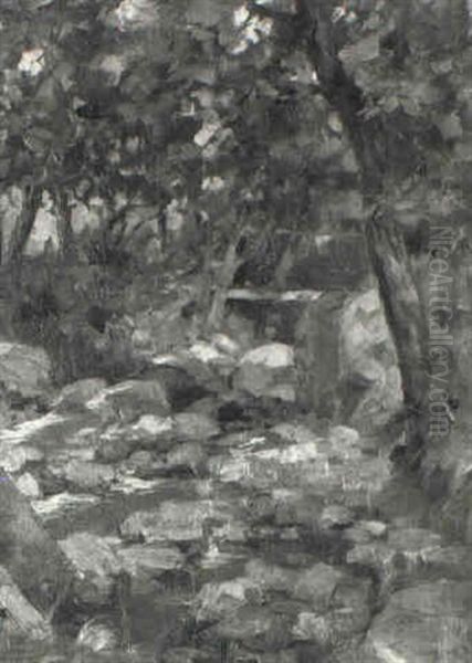 Wooded Stream - view 1