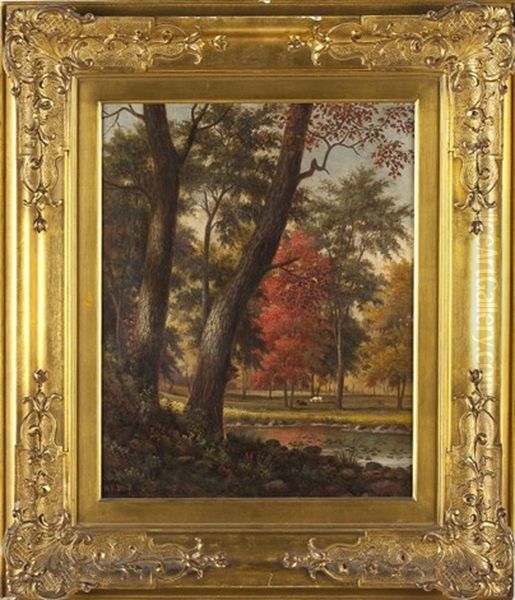 Landscape - view 1
