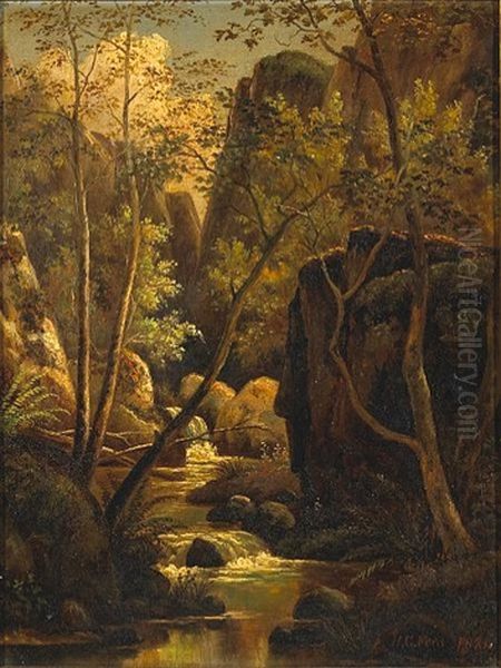 A Wooded Glade With A Brook Running Through - view 1