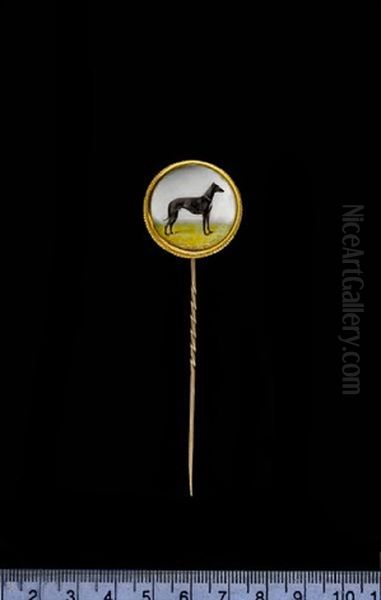 A Greyhound Named Misterton - view 1