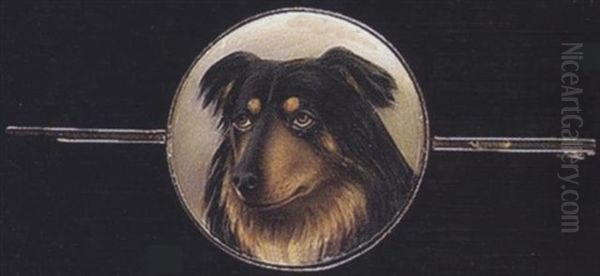 A Black And Tan Rough Collie - view 1
