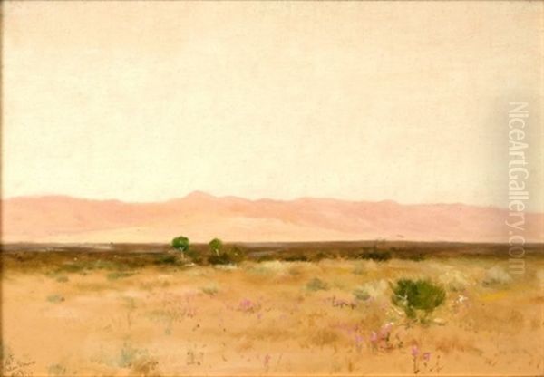 Santa Rosa Mountains From Palm Springs, California - view 1