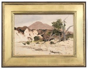 Santa Ynez by Lockwood de Forest