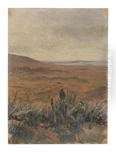 Landscape Landscape