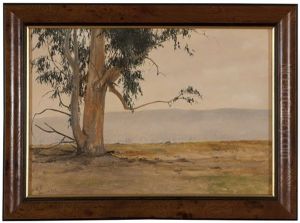 Eucalyptus Landscape by Lockwood de Forest