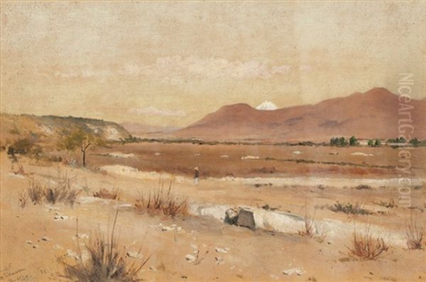 Tehuacan, Mexican Landscape - view 1