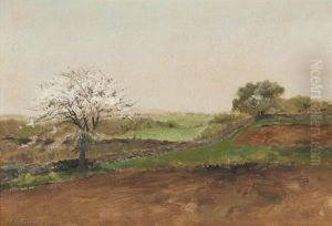 Cherry Tree In A Landscape