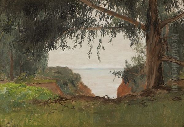 View Of The Ocean Through Coastal Trees - view 1