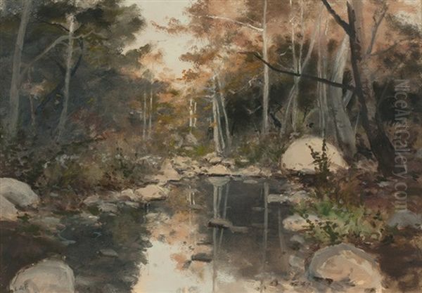 Interior Wooded Scene With Stream - view 1
