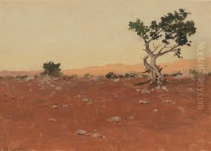 Desert Landscape With Tree