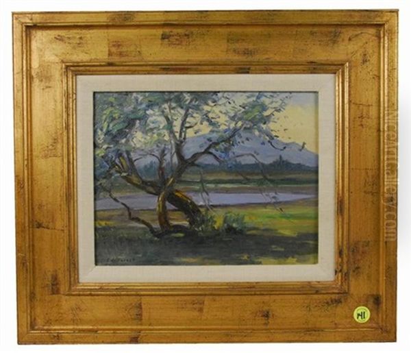 Tree In Landscape - view 1