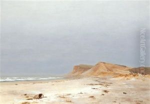 Beach, Montauk, Long Island