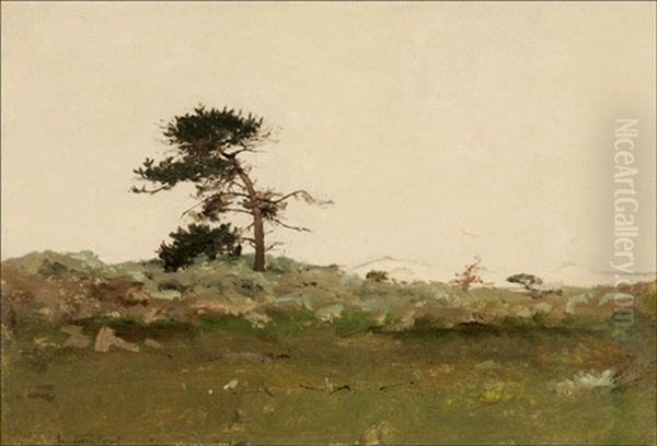 Monterey Point, Lone Pine - view 1