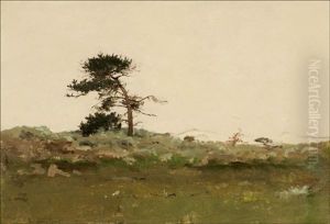 Monterey Point, Lone Pine by Lockwood de Forest