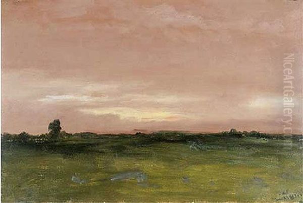 California Landscape - view 1