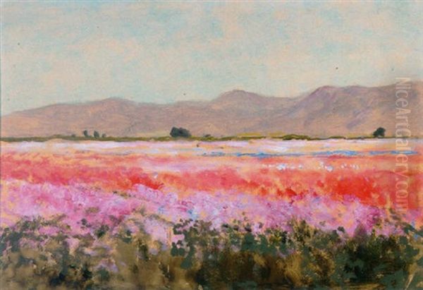 The Flower Fields Of Lompoc - view 1