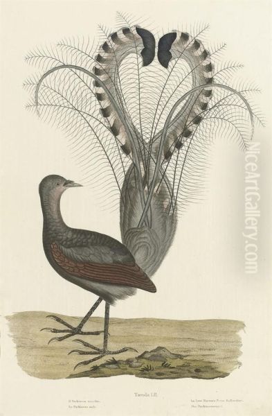 Untitled - view 1