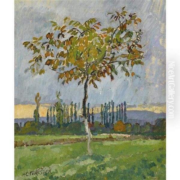 Herbstlandschaft Mit Einem Baum - view 1