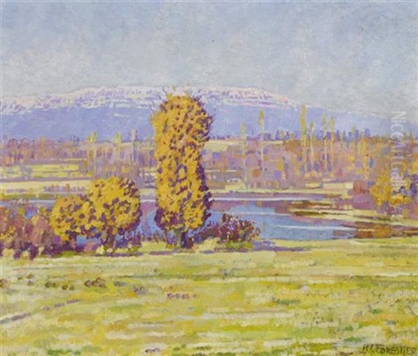 Sicht Auf Den Saleve - view 1