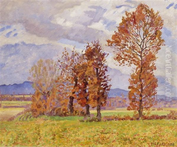 Herbstliche Baumlandschaft - view 1